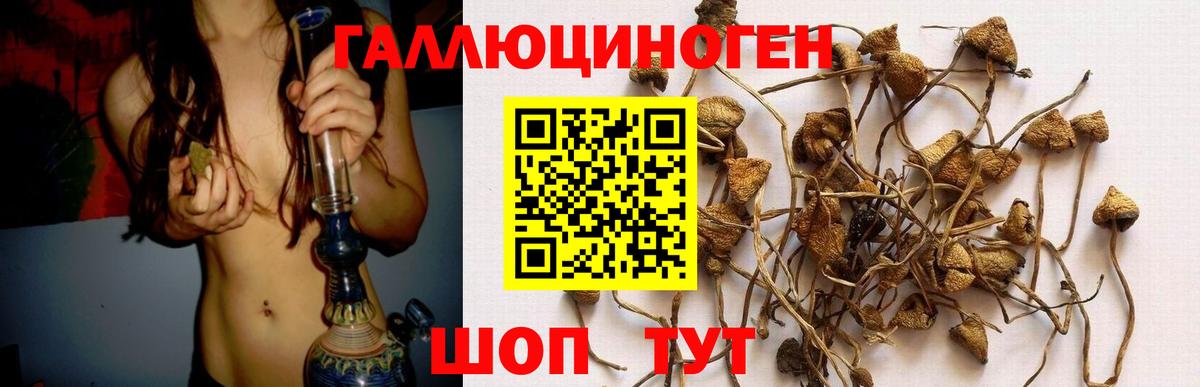 Галлюциногенные грибы мухоморы  Галлюциногенные грибы Psilocybe  Борисоглебск  Вход с VPN 